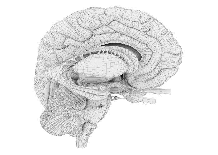 Episode #5: Is Cortex the Organ of Mind? - BERNARD J. BAARS